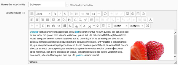 Editor neu